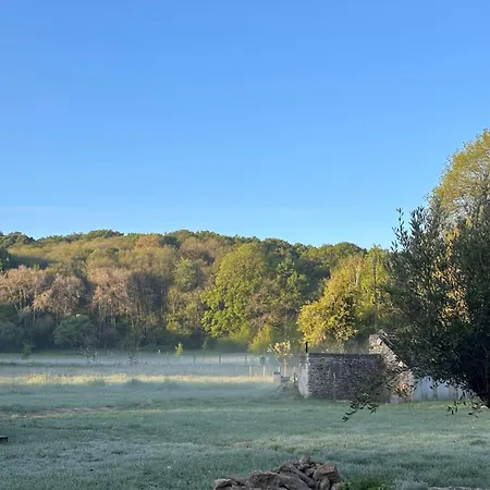Aux Petits Bourgeons Bed & Breakfast